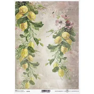 Citrus Garland Rice Paper
