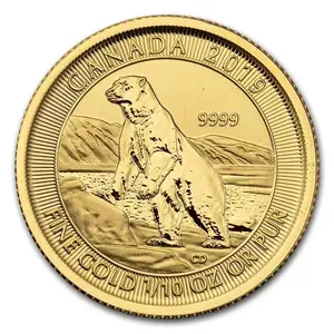 2019 Royal Canadian Mint Polar Bear 1/10 oz Gold Coin - Factory Sealed