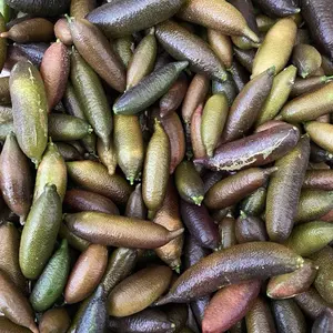 Finger Limes Fruits - Natural Unspecified Brand Finger Limes Collection Snack. Flavor