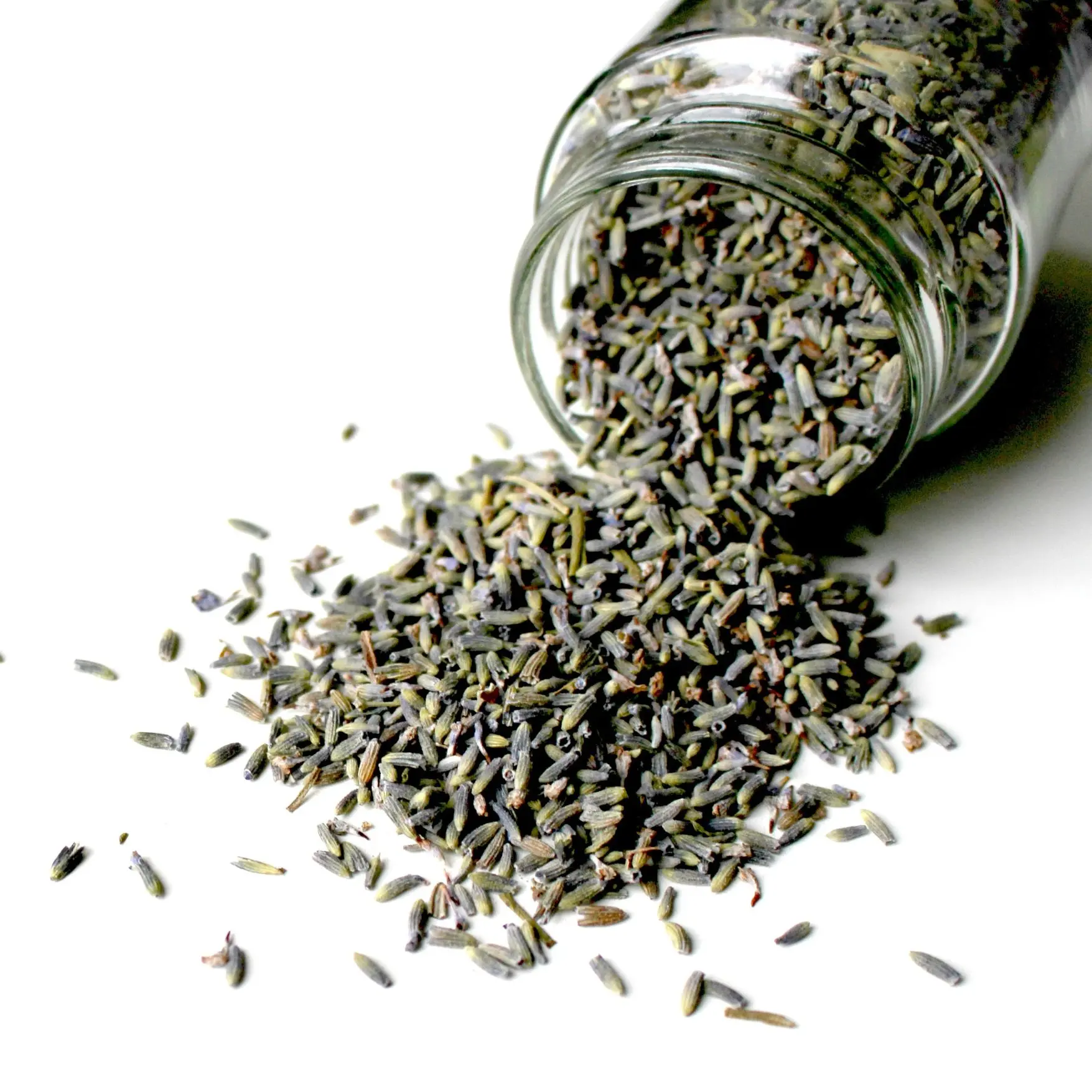 Lavender Buds – Premium Loose Herbal Tea – Lavandula angustifolia
