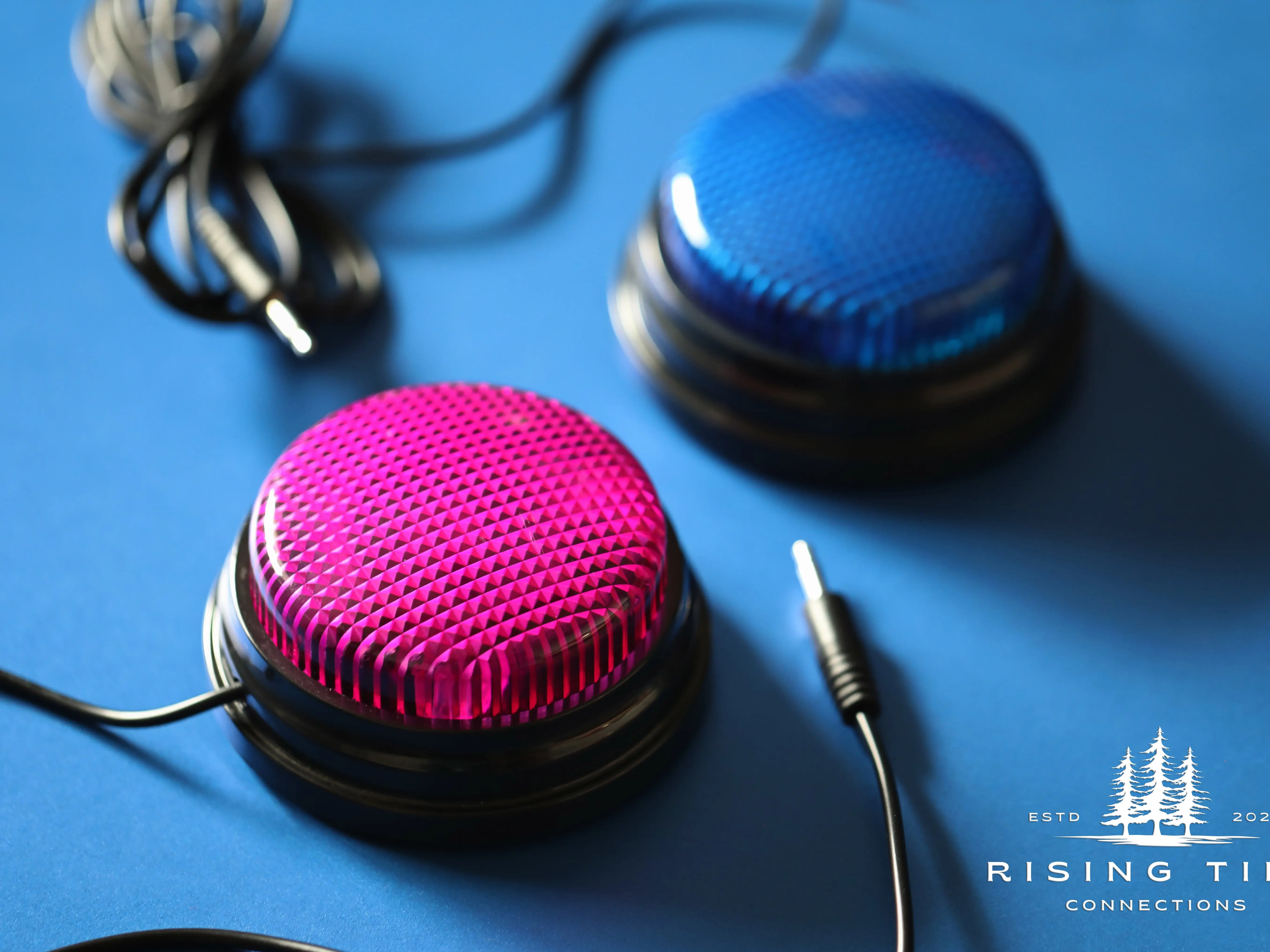 Switch | Switch Activated Toys | Assistive Technology