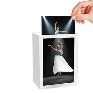 Novelty Tissue Holder