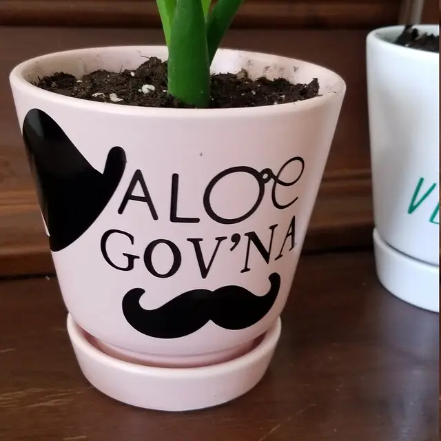 Aloe Gov'na | Aloe Planter | Decal Sticker | Novelty | Plant Decor
