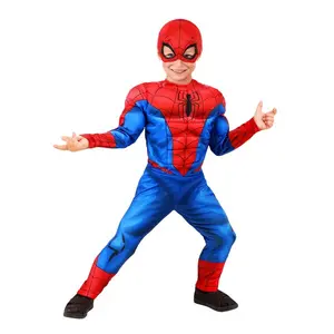 Boy's Marvel Spider-Man Toddler Costume
