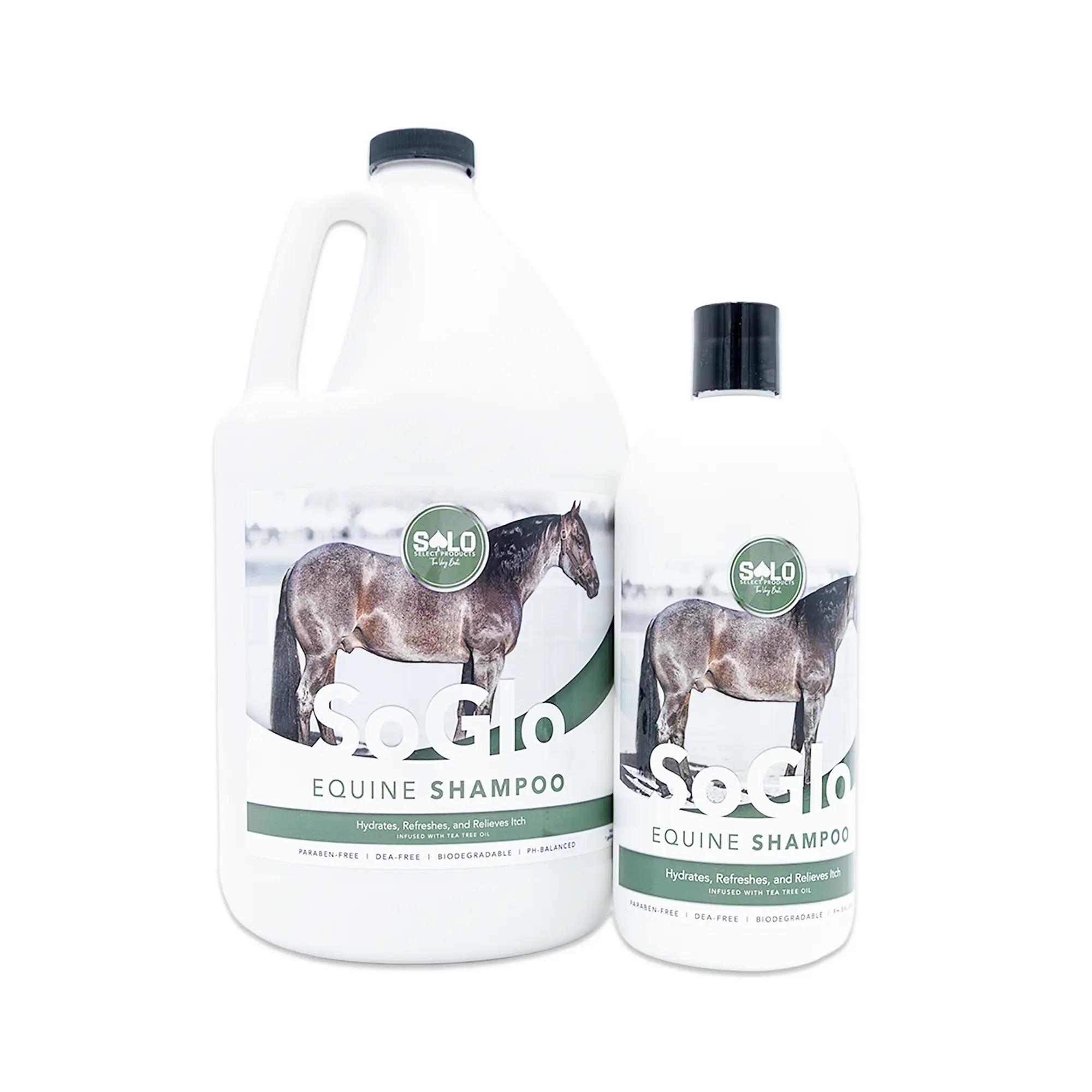 SoGlo Equine Shampoo