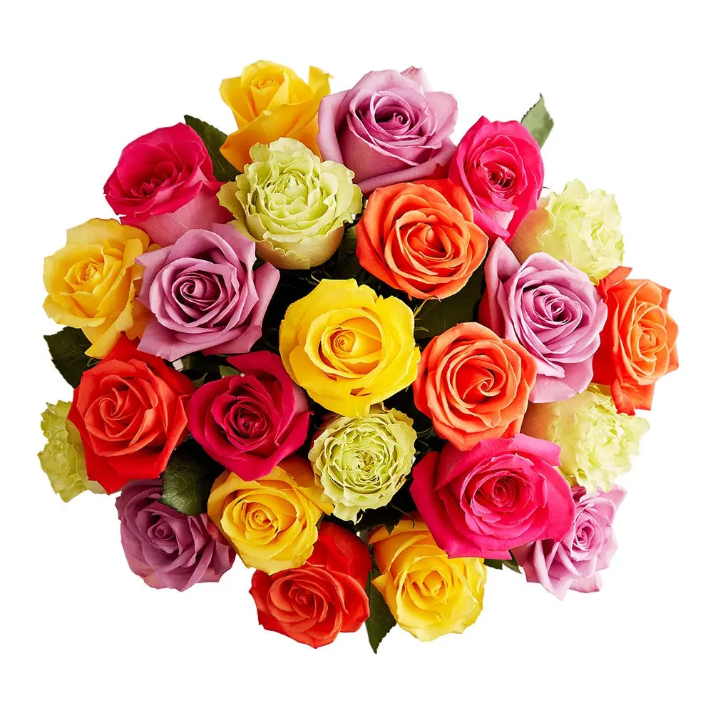 1800 Flowers – 24 Stem Assorted Bright Roses (Bouquet Only) | Fresh Cut Spring Flowers for Delivery |Gift for Spring, Anniversary, Sympathy, and Special Occasions