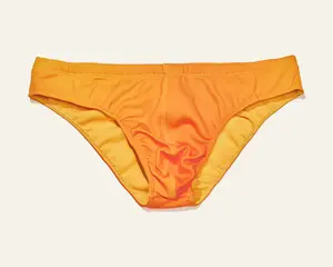 The Miami Swim Brief