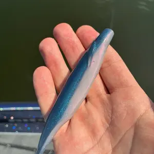 Pro Blue Red Pearl 6.0in Maki Minnow Fishing Lure with 90deg Line Tie for Ball Head Jig