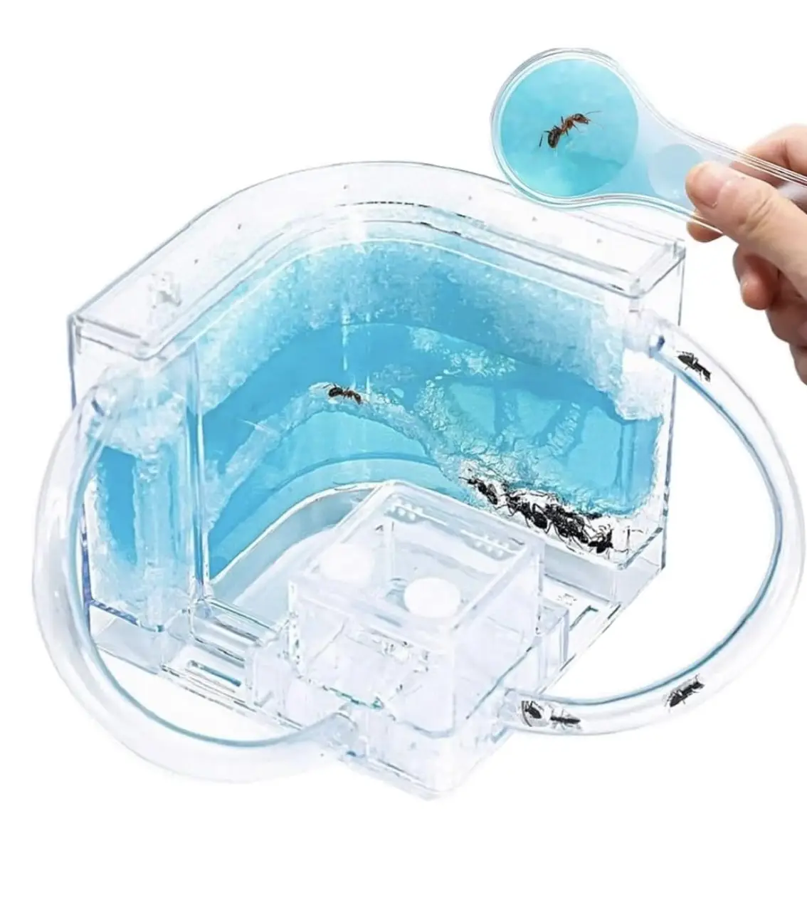 Ant Farm Enclosure - Blue Gel Indoor Habitat for Ants