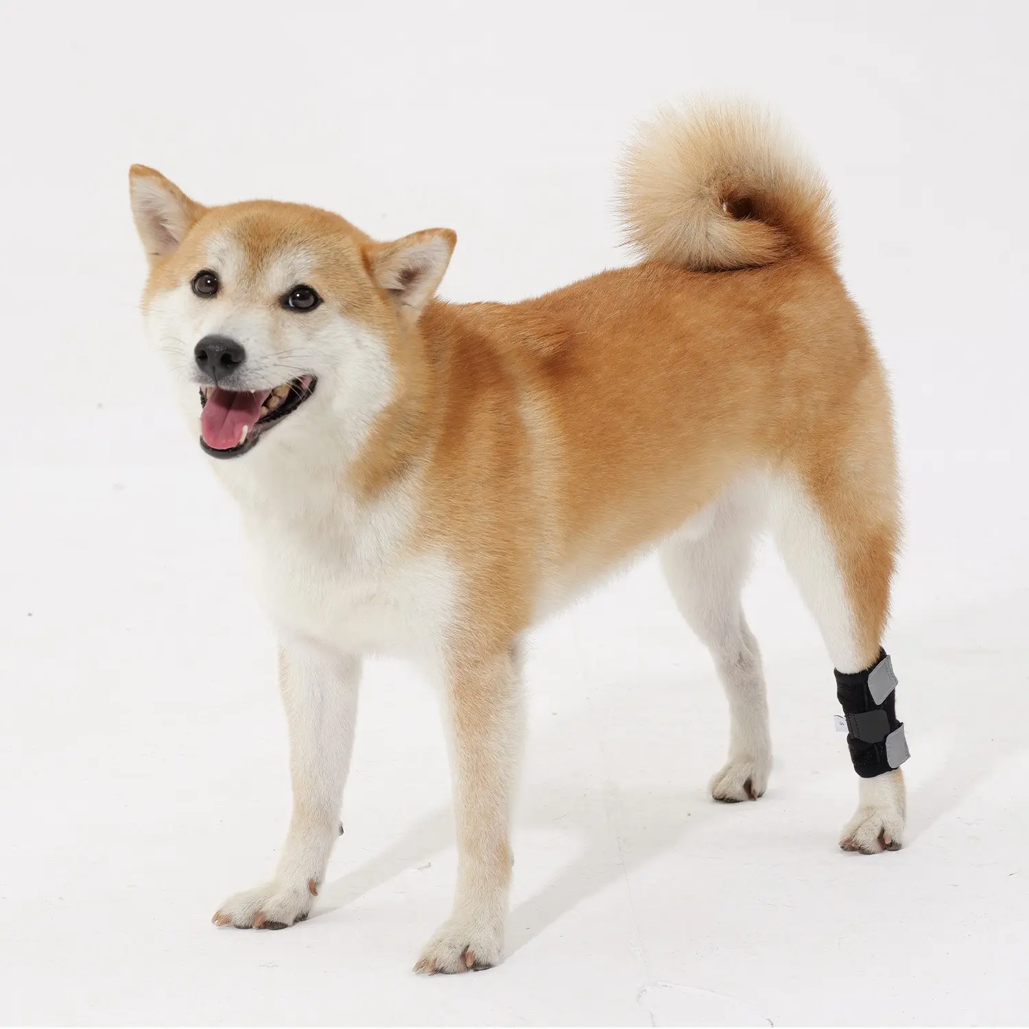 Dog Hind Leg & Knee Protection Cover with Safety Reflective Tape, for Injured or Twisted Dogs with Weak Hind Legs, Helps Increase Stability, One-Piece Design, for Outdoor Use