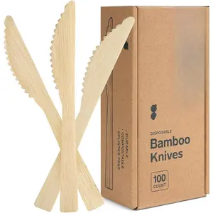 [100 Count   Disposable  -  and  Utensils for Outdoors, Parties, and Events
