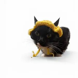 Crochet Cat Hat