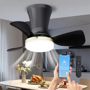 LANMEL 22 Inch Flush Mount Ceiling Fan with Light and Remote, Low Profile Modern Ceiling Fan, 6 Speed, Reversible, 3000k-6500k Dimmable LED, Quiet DC Motor for Indoor Outdoor, Black & White