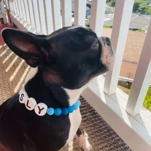 BFF Pet Collars shop logo