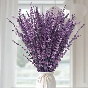Dried Purple Lavender Flowers Bundle-Dried Preserved Lavender Bouquet 15-17" for Shower Weeding Home Vase Decor, Crafts, Aromatherapy, Fragrance