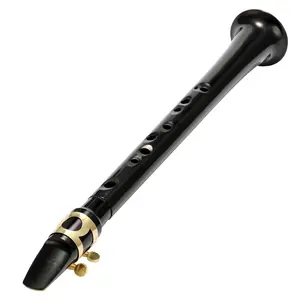 C-Key Black Pocket Saxophone, Mini Portable Woodwind Instrument with Carrying Bag