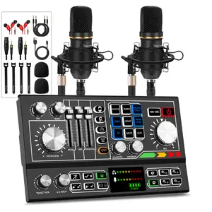 Hayner-Seek Podcast Equipment Bundle for 2, Audio Mixer with Condenser Microphone and 48V Phantom Power Supply Audio Interface for Live Stream/Record/Game