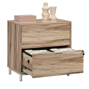 Bergen Circle Lateral File Cabinet 2-Drawer Storage System with Locking Mechanism & Secure Interlock System for Home Office Use