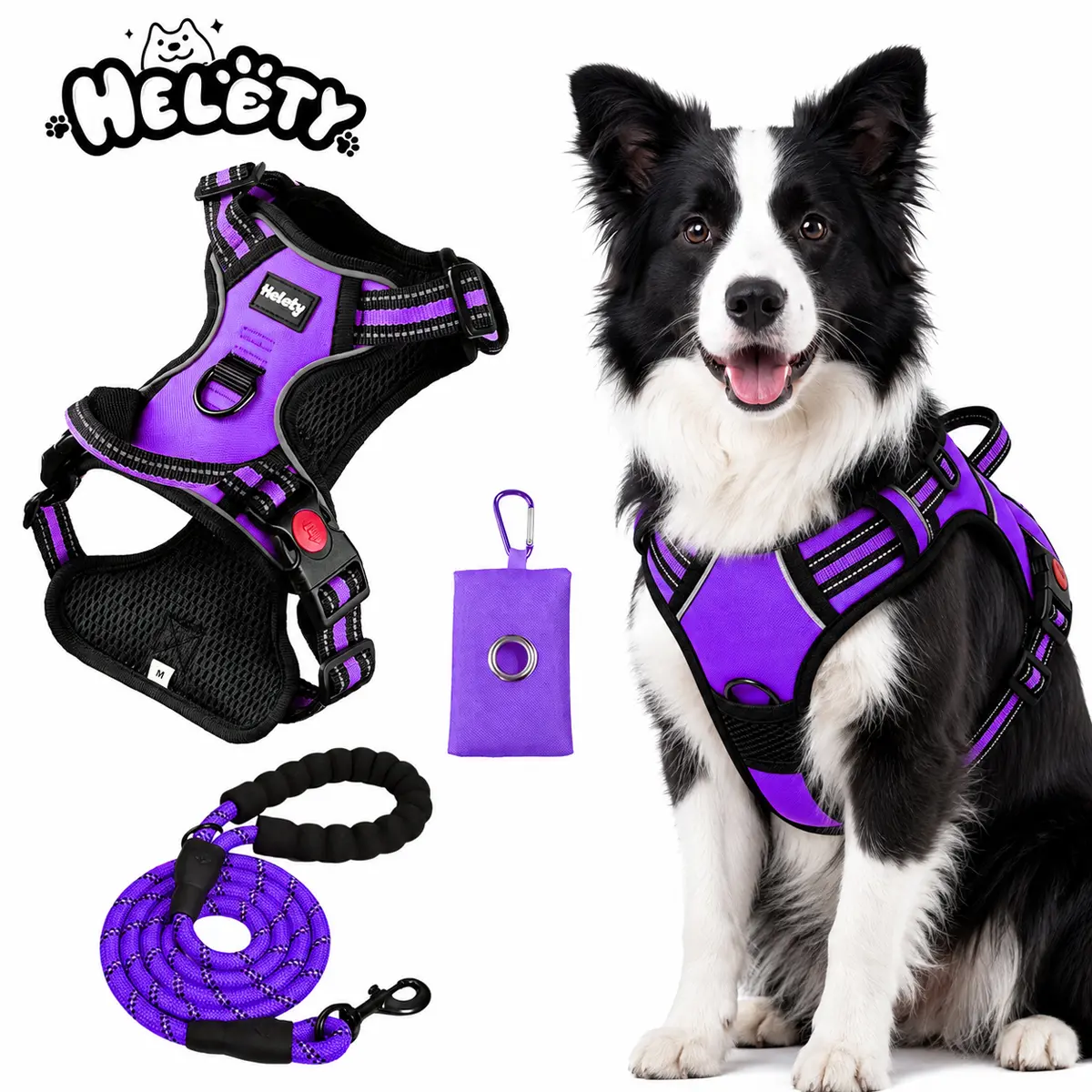 Helety Matching Dog  and Leash Set, Color-Coordinated Vest  with 59 in Lead and Poop Bag Holder for Stylish Daily Walks double step iyoshop notangled ogle ash protection Santa Print Soft Collar medium-large service easy customizable pet leather reflective