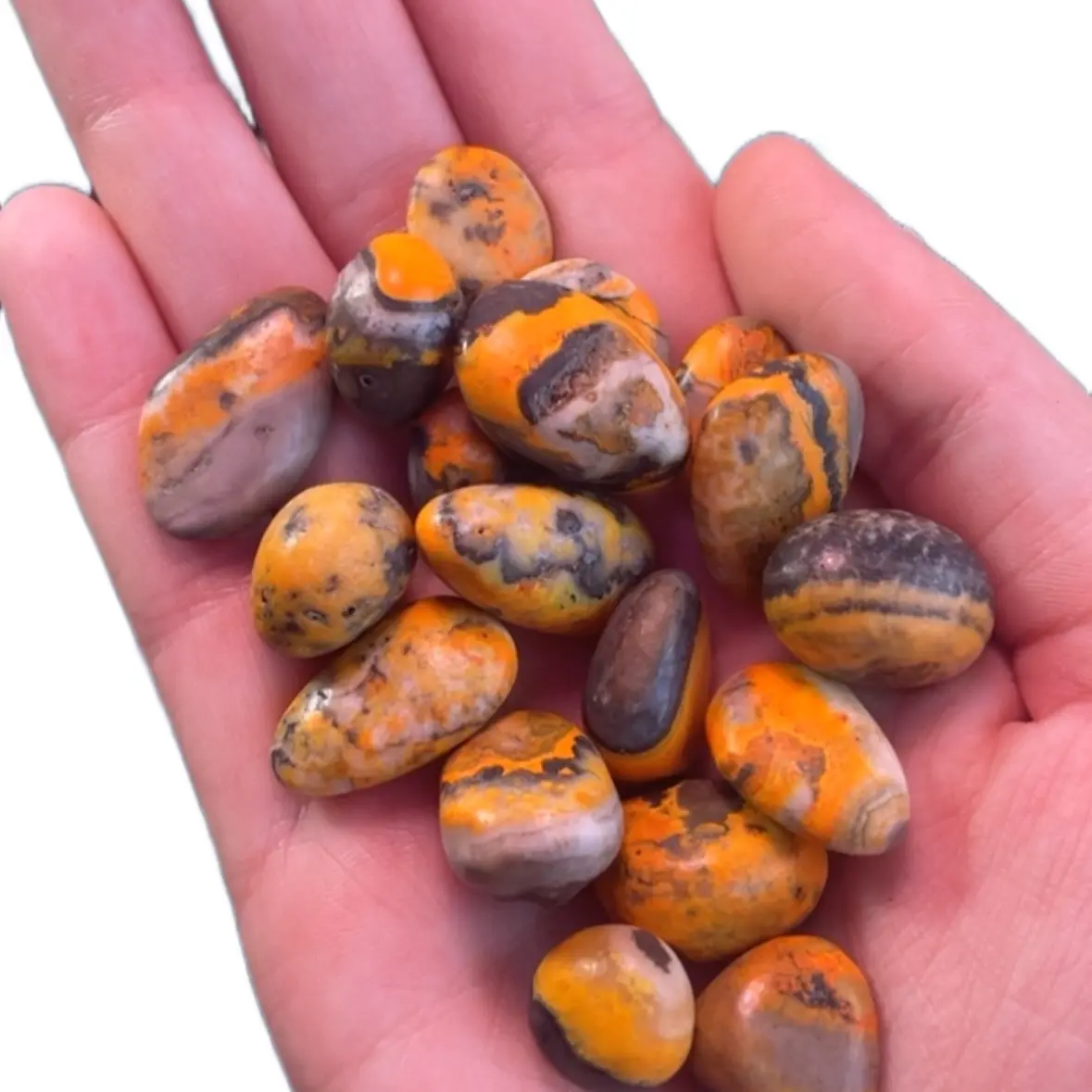 Bumble bee jasper crystal tumbles high quality