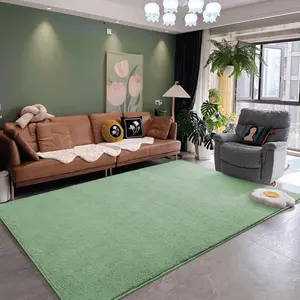 Sage Green Large Soft Modern Area Rugs for Living Room Bedroom,  Thickened Memory Foam Indoor Solid Minimalist Carpets, Non-Slip Comfy Rug for Boys Girls Nursery Room Home Decor, 4x6,5x7 Feet