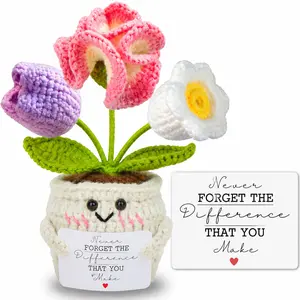 Teacher Appreciation Gifts, Thank You Teacher Gifts, Graduation Birthday Retirement Gift for Teachers Mentor Coworker Boss, Cute Handmade Crochet Carnations 3 Flowers Pot Doll Teacher's Day Bulk Gift Decorative Flowers
