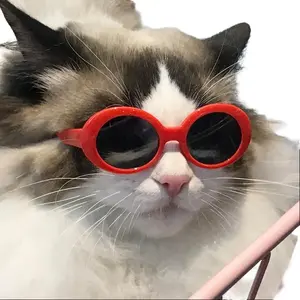 5-Pack Pet Sunglasses (For Cats & Dogs) — Cool, UV-Protective Eyewear for Small to Medium-Sized Dogs and Cats
