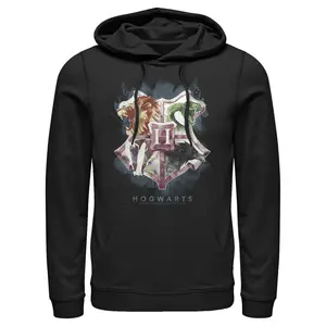 Men's Harry Potter Hogwarts Watercolor Symbols Pull Over Hoodie