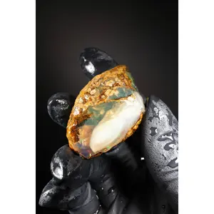 30.57g Rough Specimen