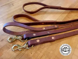DnA Leather + Harness Leather Dog Leash + 3ft + 6ft