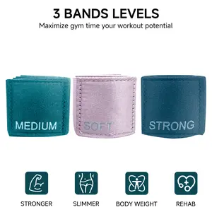 Resistance Bands for Working Out 3 Set Professional Exercise Bands for Pilates Yoga Home Gym Booty Leg Training Heavy Medium Light Fabric Loops for Women Men