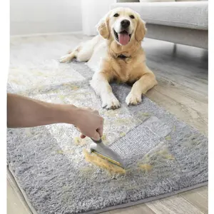 Evercare Reusable Duo Pet Hair Remover Tool, Dual Sided