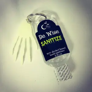 “Be wise Sanitize“ Hand Sanitizer keychain