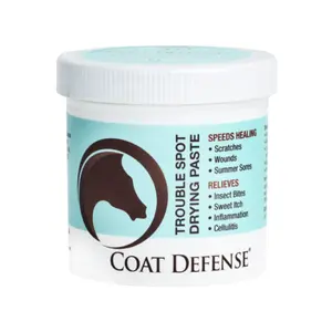 Trouble Spot Drying Paste