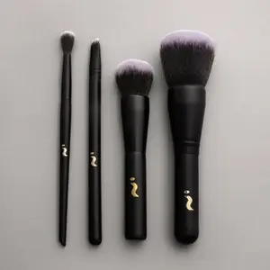SKINN Cosmetics: Plasma Fusion Illusion 4 Piece Brush Set Soft Beauty