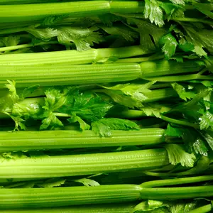 Celery Seeds - Natural Flavorful Seeds for Culinary Use