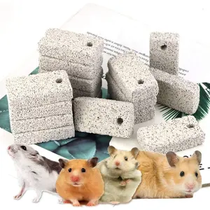 20 Pcs Small Animal Pet Lava Bites Chews Toy Teeth Grinding Block Mineral Calcium Stone for Hamsters Parrot Chinchillas Rabbits (2.36x1.18x0.59inch) - Home Improvement.