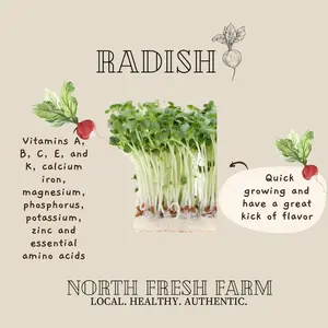Radish Microgreens Seeds