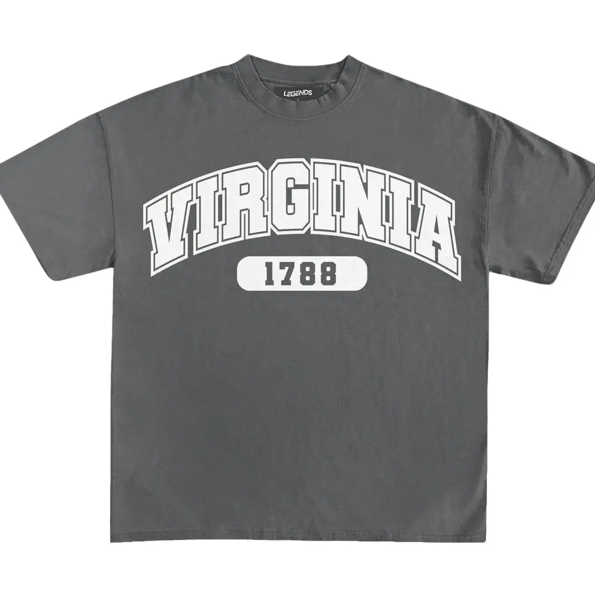 VIRGINIA STATE PRIDE SERIES TEE, Graphic T-Shirt, Gift for Men, Gift for Women, Crew Neck T-shirt, Trending T-shirt