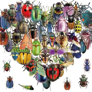 Insect Pattern Sticker, 50pcs/set Realistic Transparent Insect PET Sticker, Waterproof Bug Sticker for Stationery, Luggage Scrapbooking, Water Bottles, Gifts
