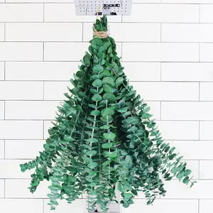 10 count Dried Eucalyptus Stems for Shower 17" Real   Eucalyptus Stems, Real  Leaves Branches for Vase Filler, Wedding, Bathroom Decor,  Decor, Dried  Arrangement Decor