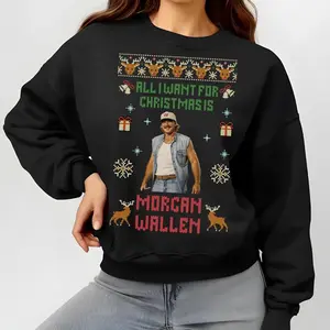 Morgan Still The Problem Wallen Tour 2026 Sweatshirt T-shirt, Country Music Graphic Tee, Morgan26, Gift For Her TTD2