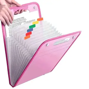 Expanding File Organizer Document Bag (1 Count) - 13 Storage Compartments, 12 Categorization Labels, Waterproof & Durable,  Office Filing Sorter & Storage Supply study use