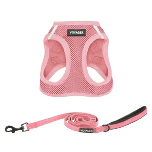 Voyager Step-In Air Cat & Small Dog Harness and Leash Set - Breathable Mesh Vest with 5ft Neoprene Handle Leash for Small Medium Cats & Kittens - Escape-Resistant, Lightweight by Best Pet Supplies