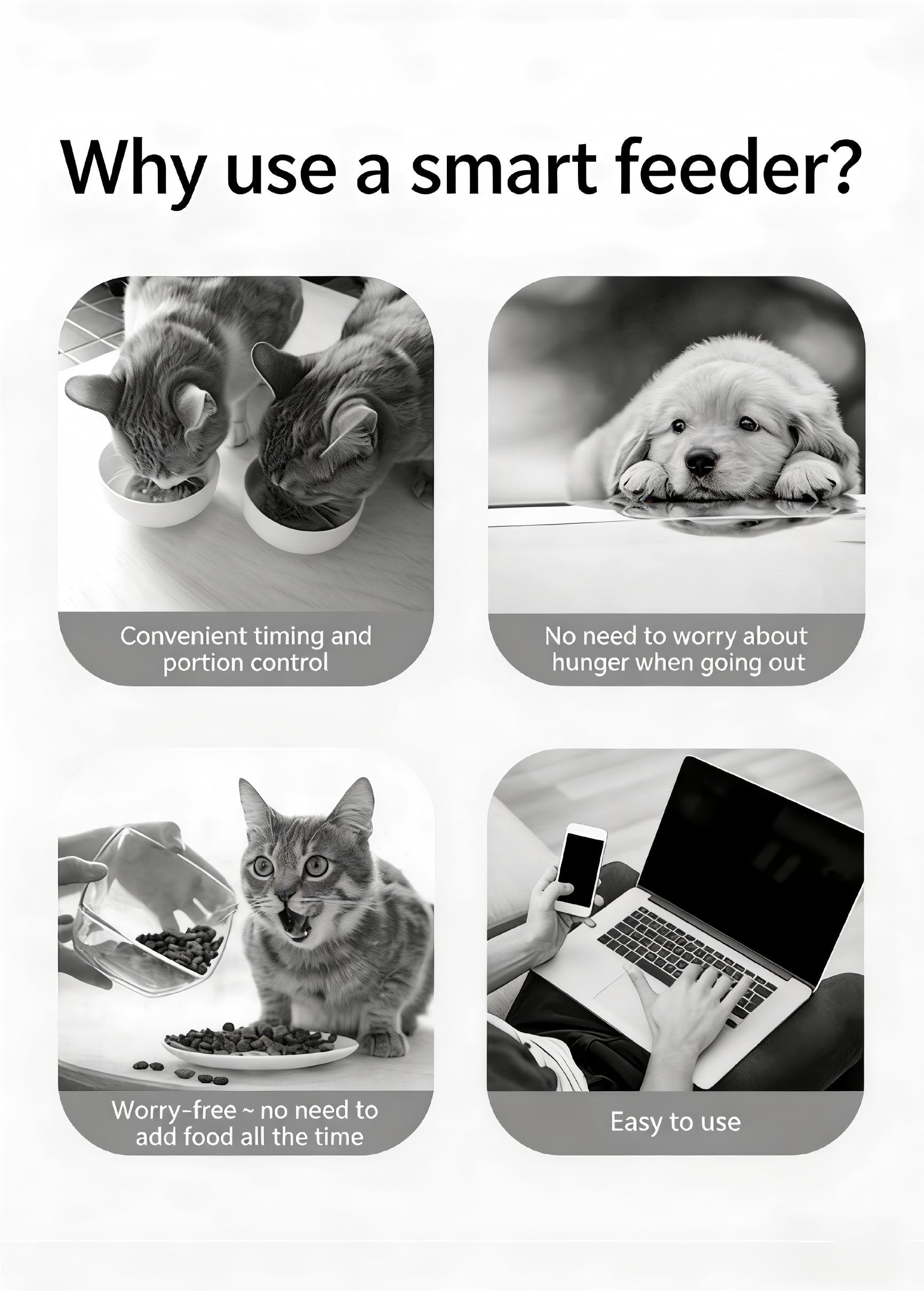 automatic feeder Pet automatic feeder, automatic feeding, intelligent feeder  WiFi enabled, video supported, 4.0L gallon