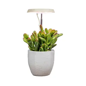 AeroGarden Stem Grow Light for Indoor Plants