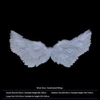 Silver-gray swallow-shaped wings