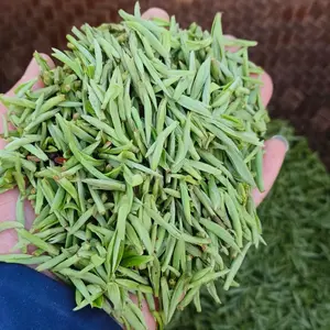 China top3 green tea 2025 first pick  ‘Huangshan Maofeng’ highest grade grow on Tracy family tea farm in Huangshan city