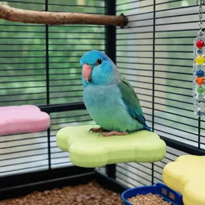 Detachable Pumice Parrot Stand Wear Resistant Bite Resistant Bird Resting Platform Tooth Grinding Bird Cage Toys Habitat