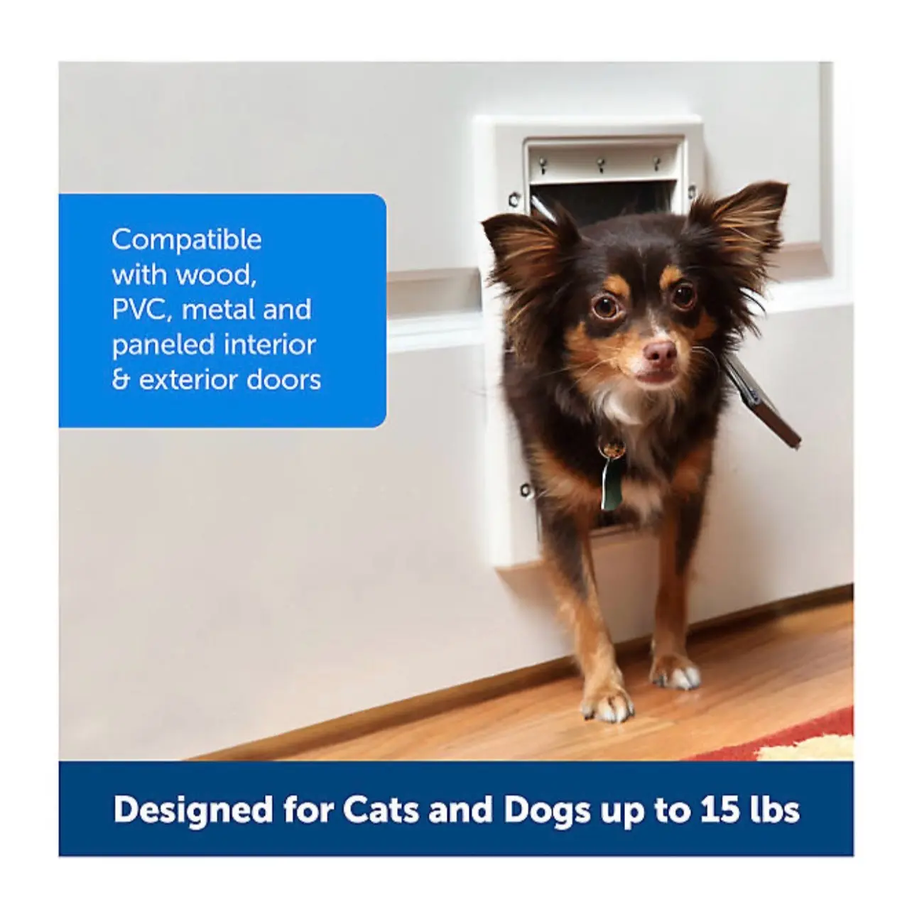 PetSafe Plastic Pet Door - Small Size - Easy Installation - Adjustable Flap - Ideal for Pets of All Sizes